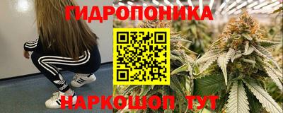 дживик Новозыбков