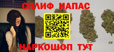 дживик Новозыбков